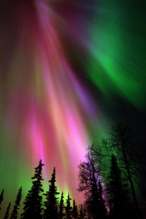 Lapland Northern Lights Hotel Ilveslinna 라누아 외부 사진