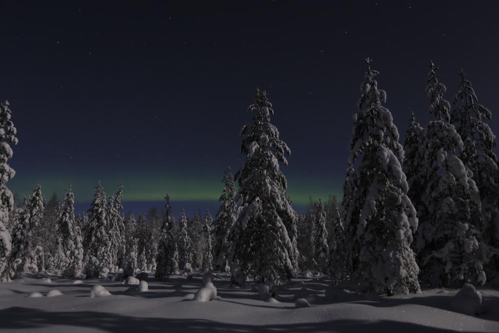 Lapland Northern Lights Hotel Ilveslinna 라누아 외부 사진