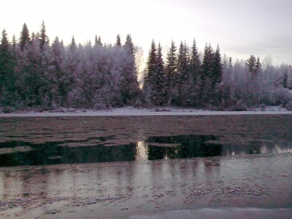Lapland Northern Lights Hotel Ilveslinna 라누아 객실 사진