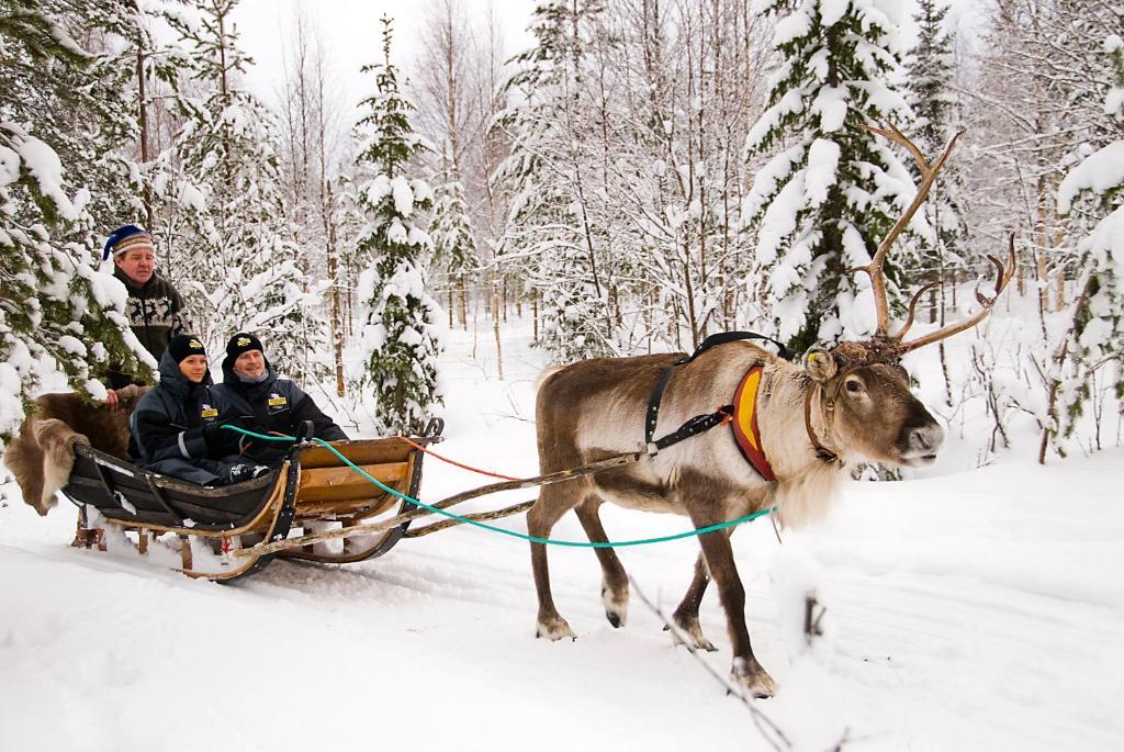 Lapland Northern Lights Hotel Ilveslinna 라누아 외부 사진