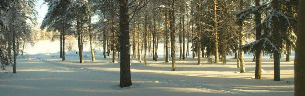 Lapland Northern Lights Hotel Ilveslinna 라누아 외부 사진