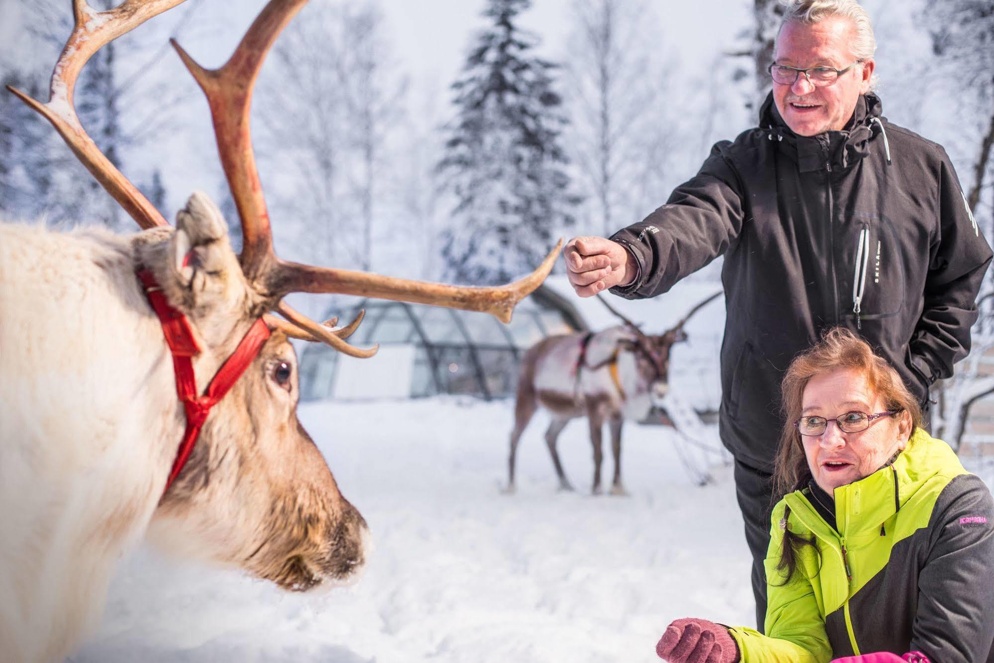 Lapland Northern Lights Hotel Ilveslinna 라누아 외부 사진