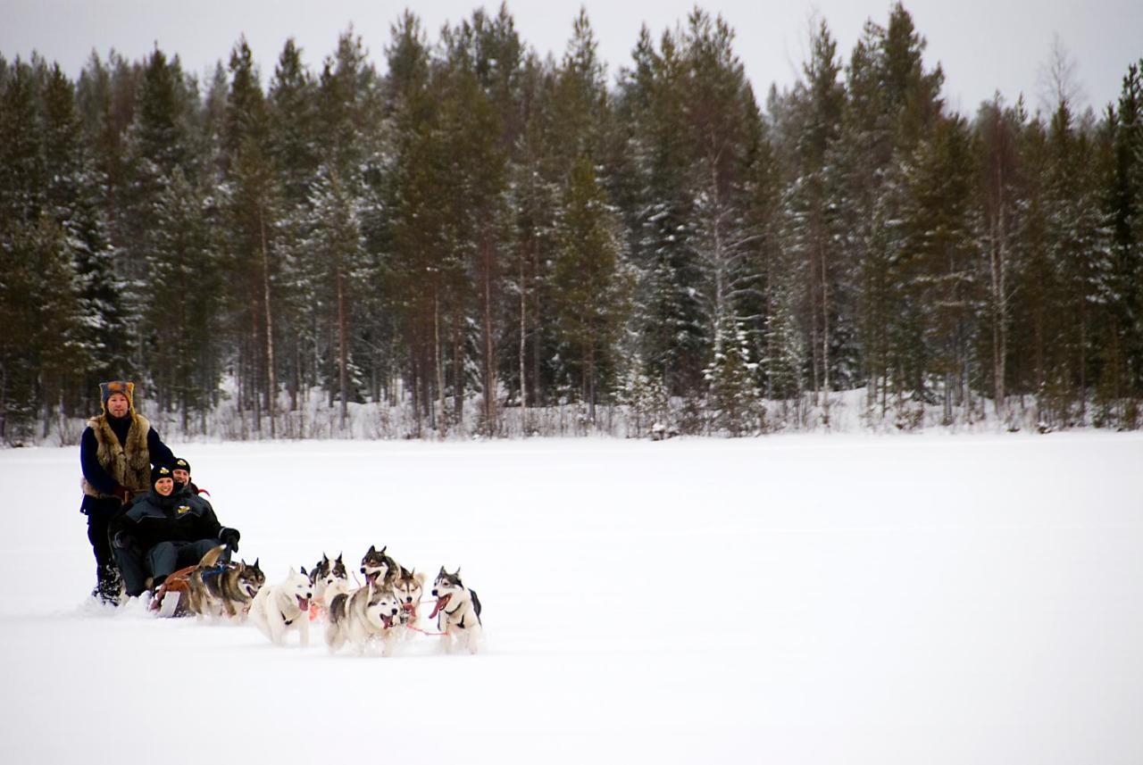 Lapland Northern Lights Hotel Ilveslinna 라누아 외부 사진